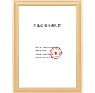 企業(yè)信用評級報告